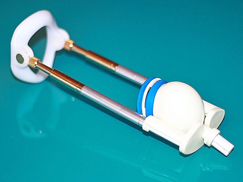 An extension cord of the penis
